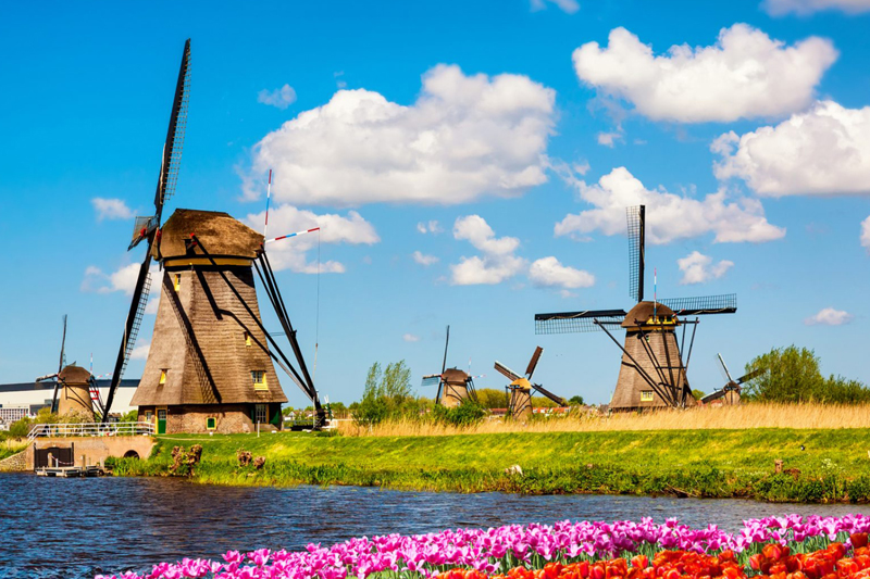 Explore the Beauty of Holland in a Day